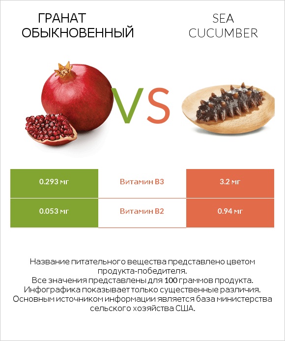 Гранат обыкновенный vs Sea cucumber infographic