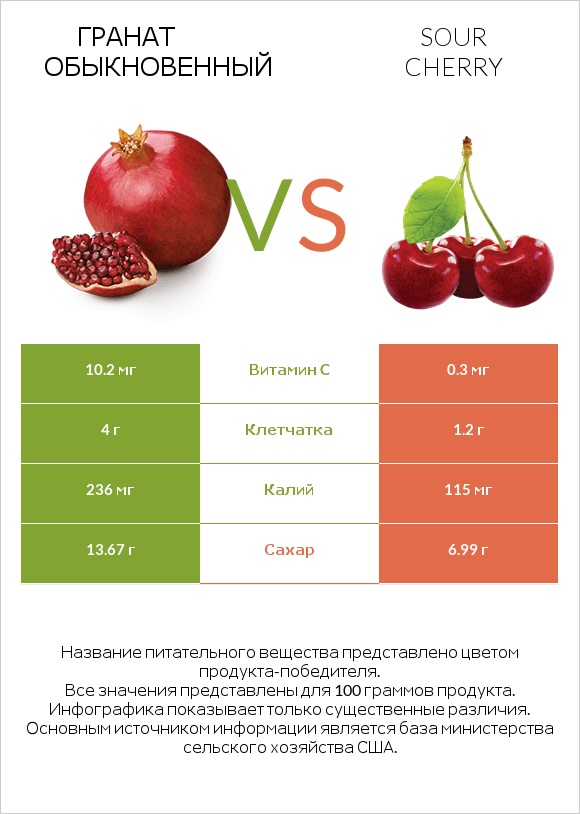 Гранат обыкновенный vs Sour cherry infographic