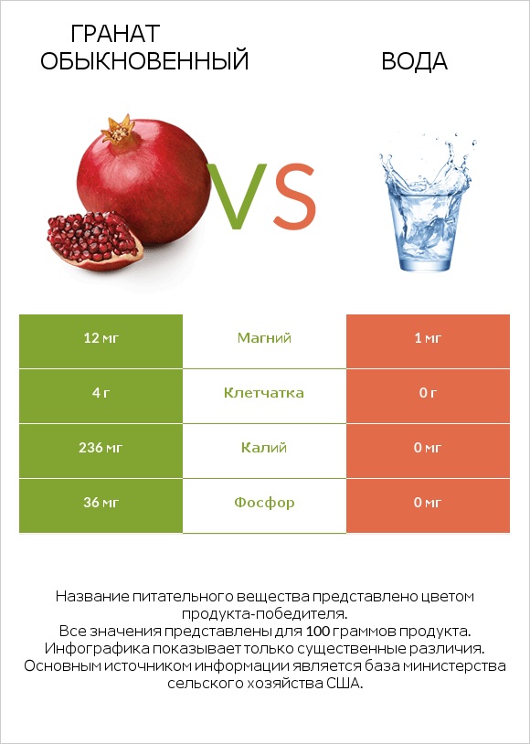 Гранат обыкновенный vs Вода infographic