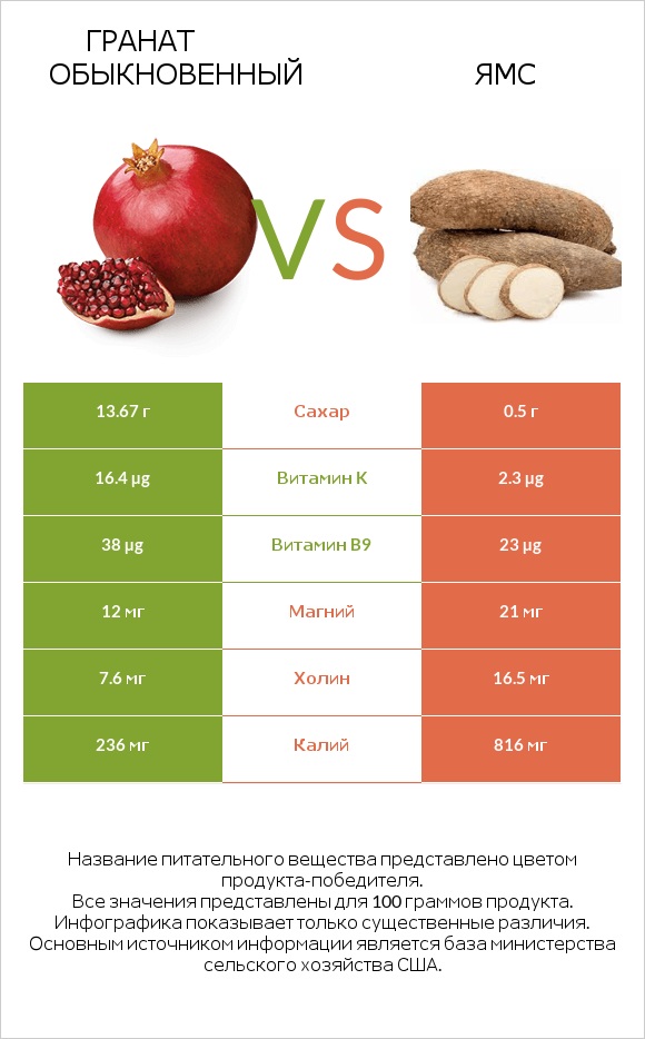 Гранат обыкновенный vs Ямс infographic