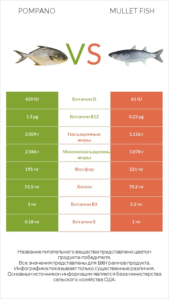 Pompano vs Mullet fish infographic