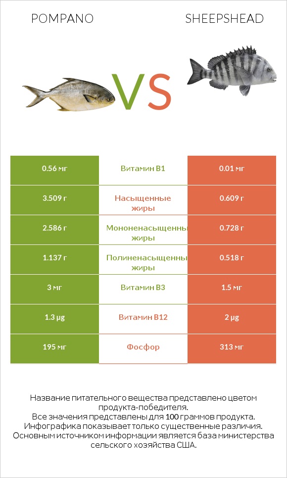 Pompano vs Sheepshead infographic