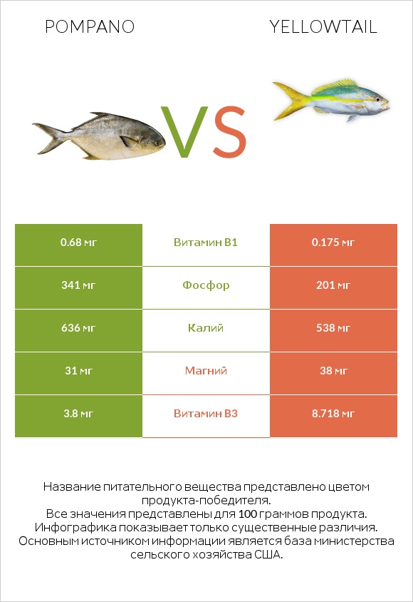 Pompano vs Yellowtail infographic