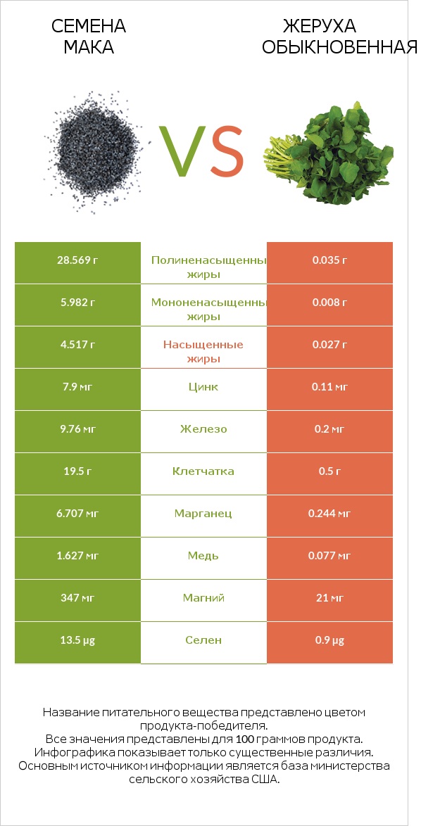 Семена мака vs Жеруха обыкновенная infographic