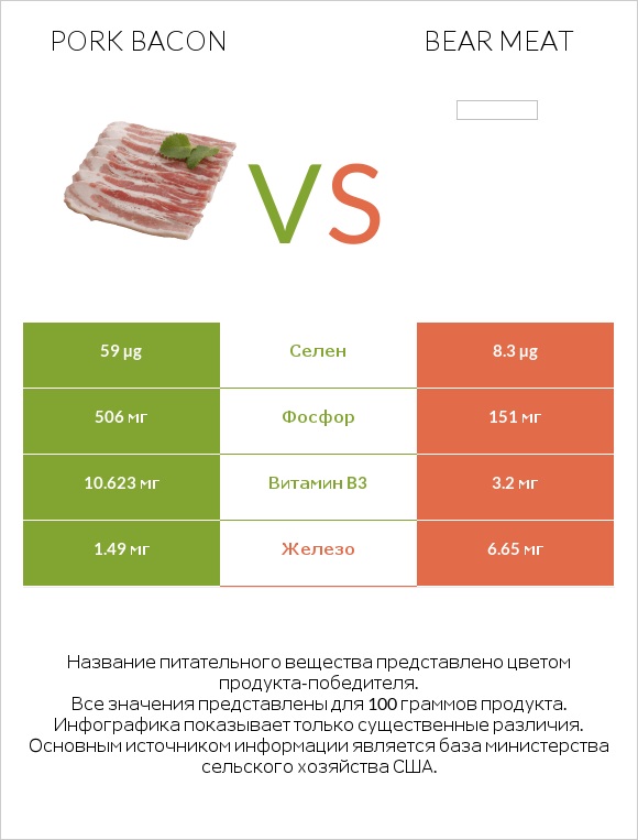 Pork bacon vs Bear meat infographic