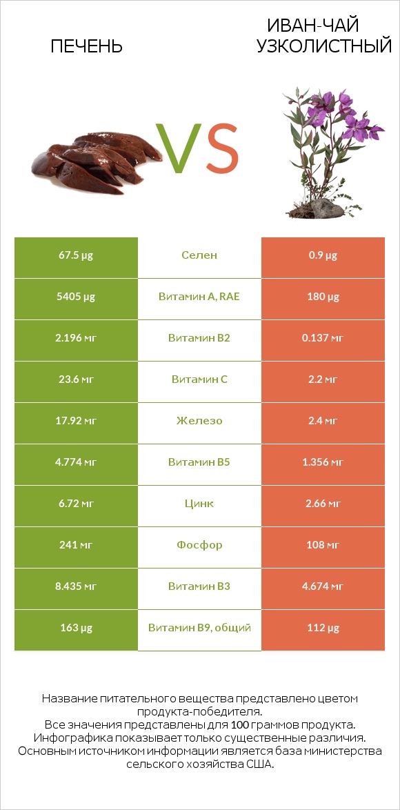 Печень vs Иван-чай узколистный infographic