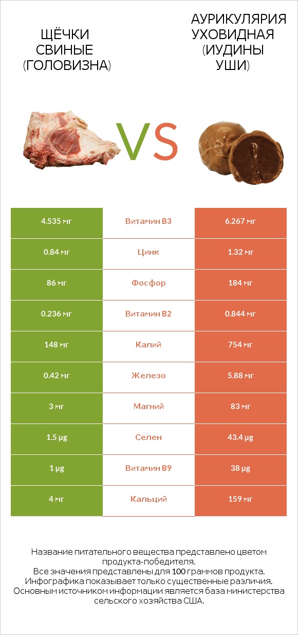 Щёчки свиные (головизна) vs Аурикулярия уховидная (Иудины уши) infographic