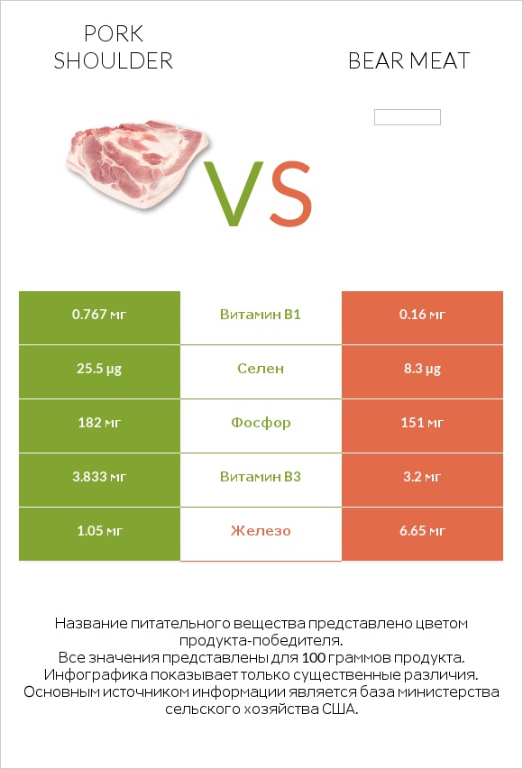 Pork shoulder vs Bear meat infographic