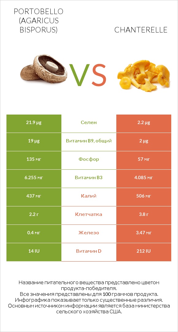 Portobello vs Chanterelle infographic