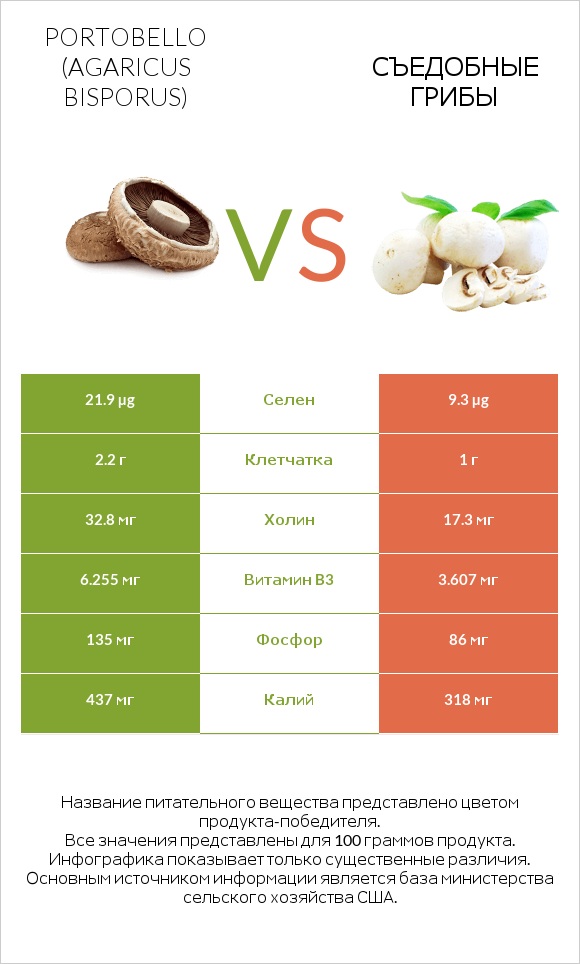 Шампиньон двуспоровый vs Съедобные грибы infographic