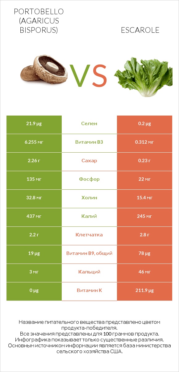 Portobello vs Escarole infographic