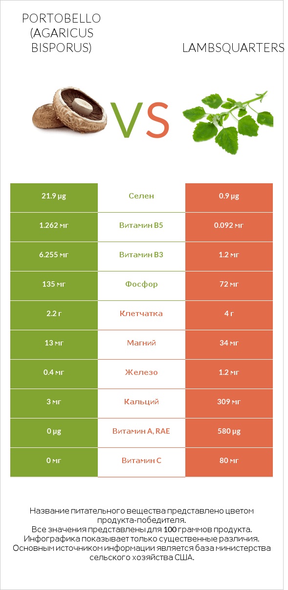 Portobello vs Lambsquarters infographic