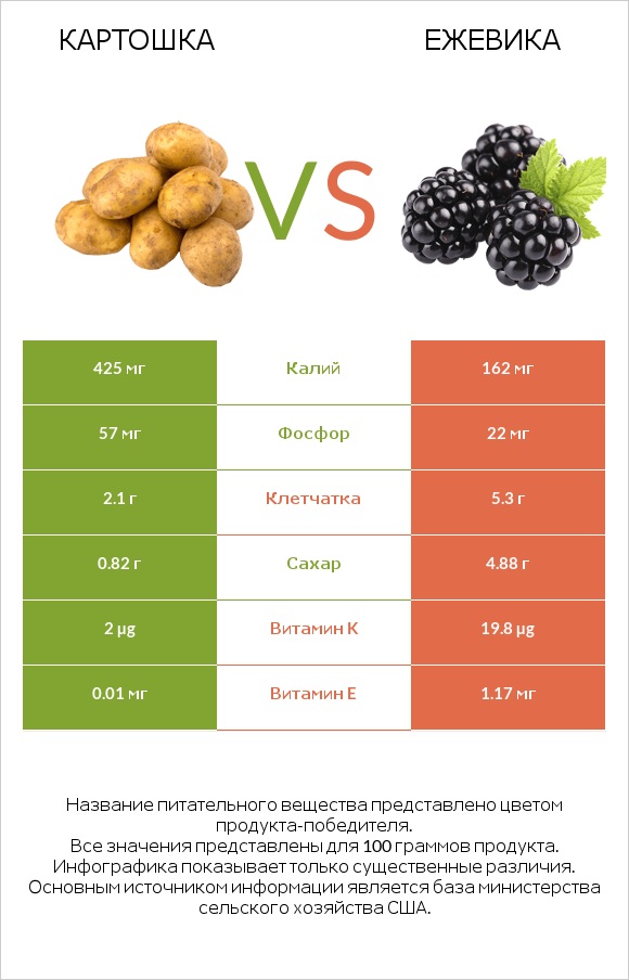 Картошка vs Ежевика infographic