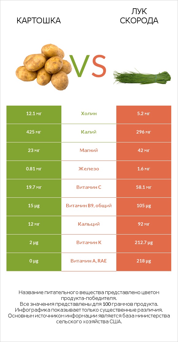 Картошка vs Лук скорода infographic
