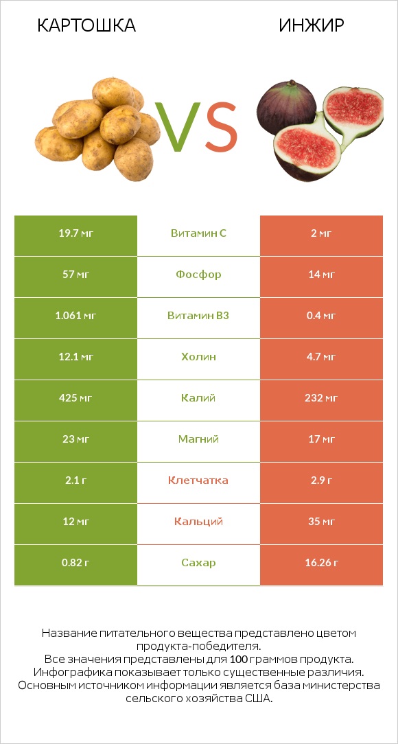 Картошка vs Инжир infographic