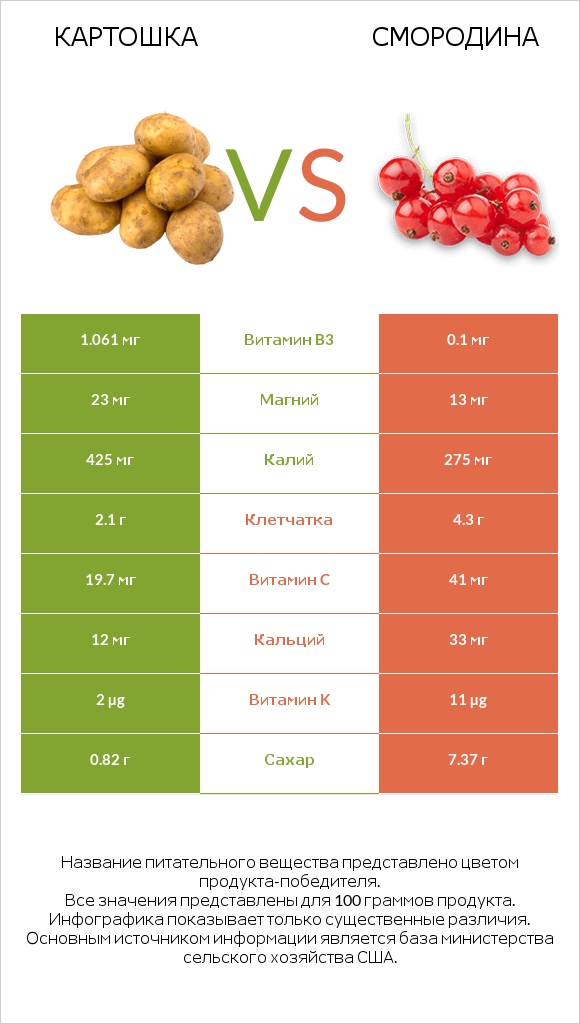 Картошка vs Смородина infographic