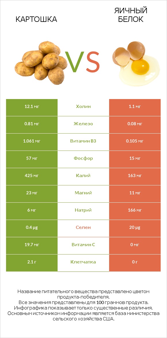 Картошка vs Яичный белок infographic