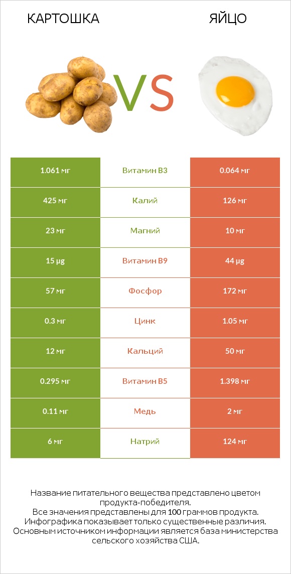 Картошка vs Яйцо infographic