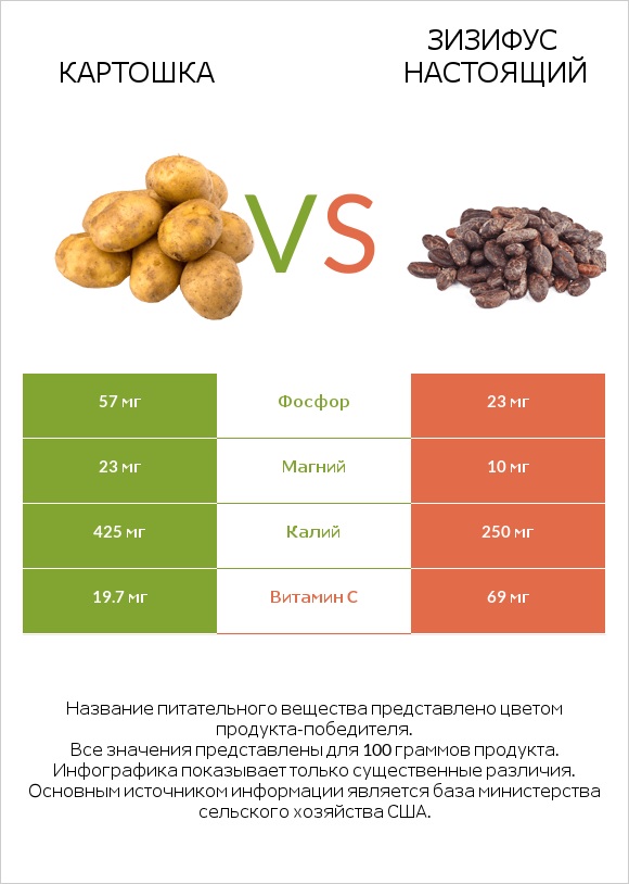 Картошка vs Зизифус настоящий infographic