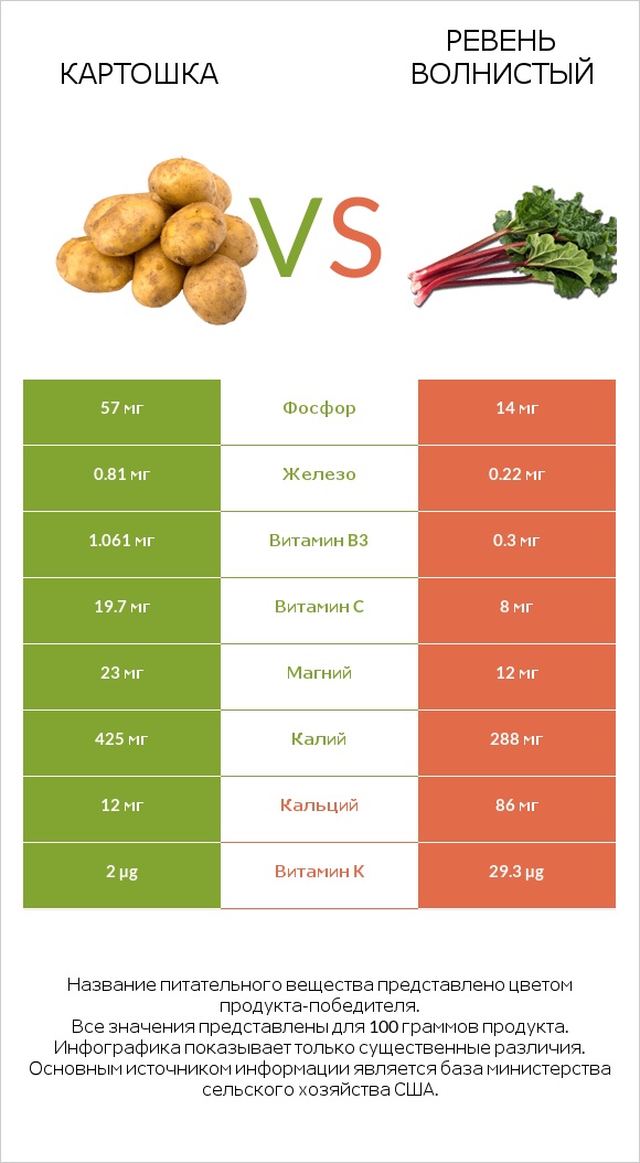 Картошка vs Ревень волнистый infographic