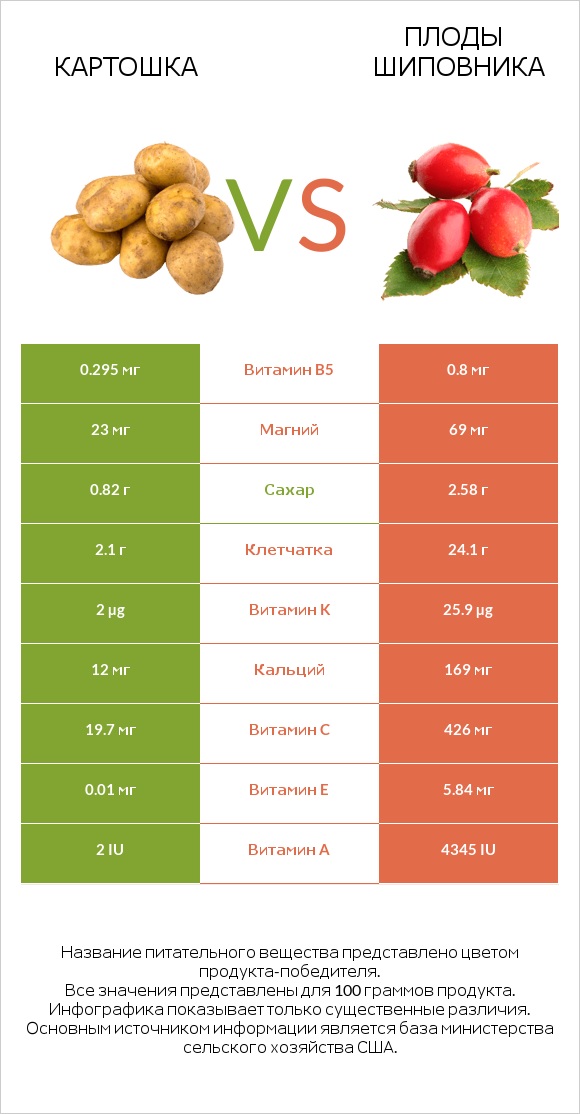 Картошка vs Плоды шиповника infographic