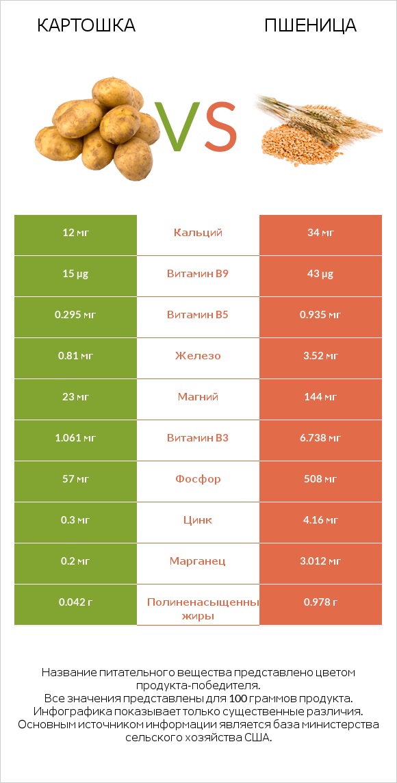 Картошка vs Пшеница infographic