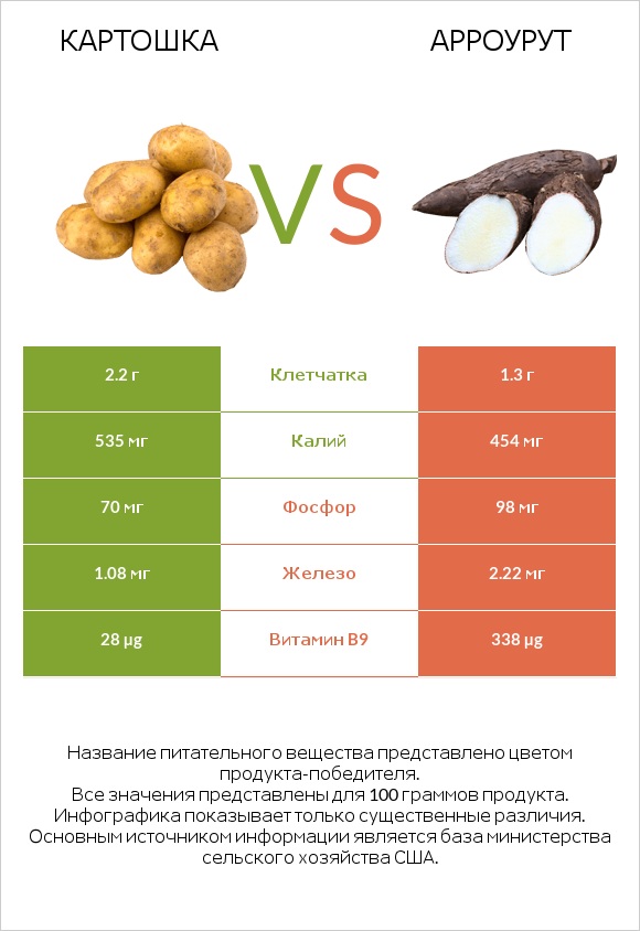 Картошка vs Арроурут infographic