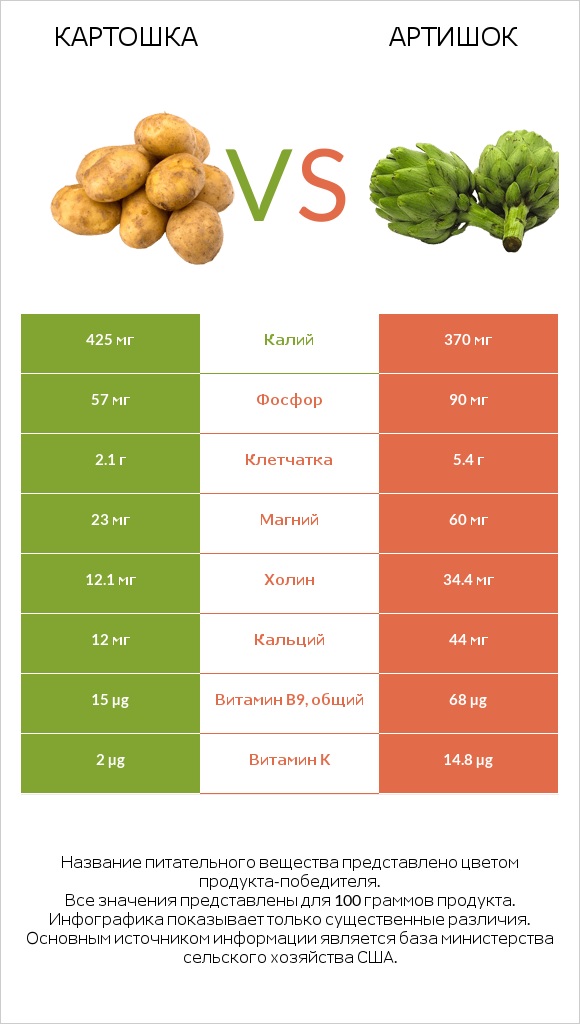 Картошка vs Артишок infographic