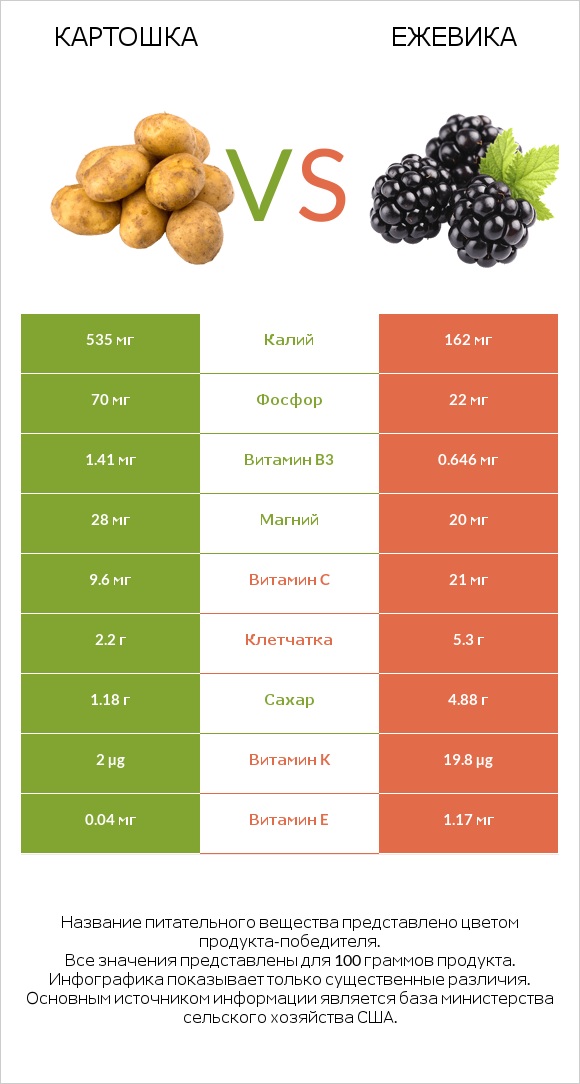 Картошка vs Ежевика infographic