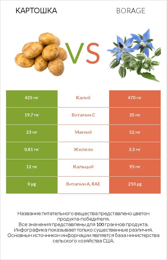 Картошка vs Borage infographic