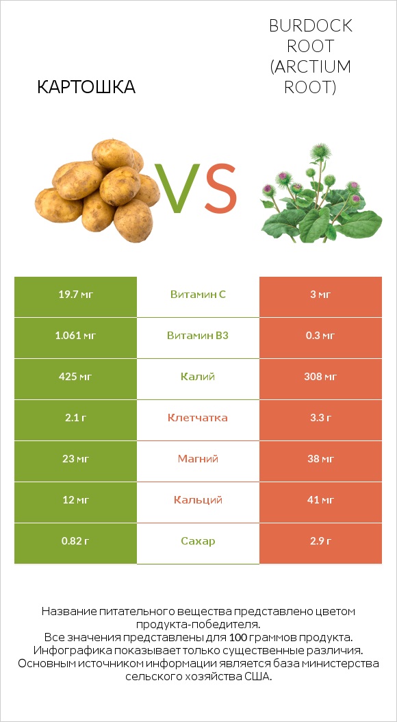 Картошка vs Burdock root infographic