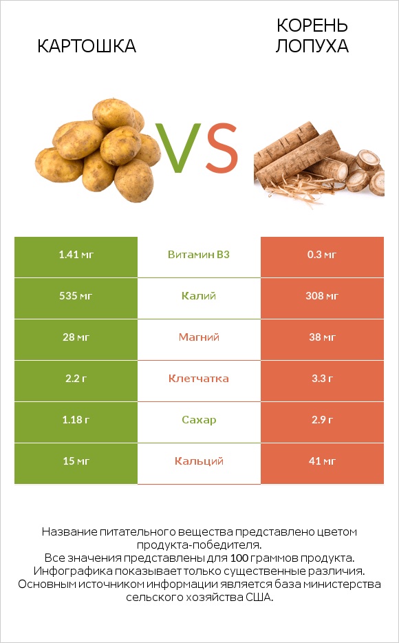 Картошка vs Burdock root infographic