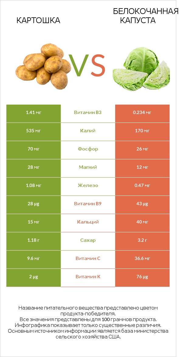 Картошка vs Белокочанная капуста infographic