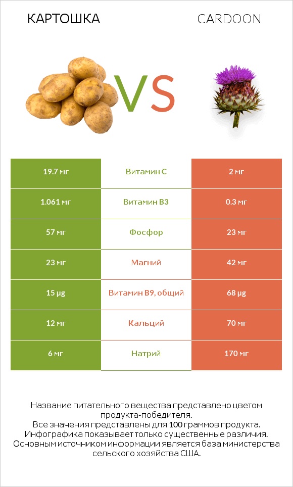 Картошка vs Cardoon infographic