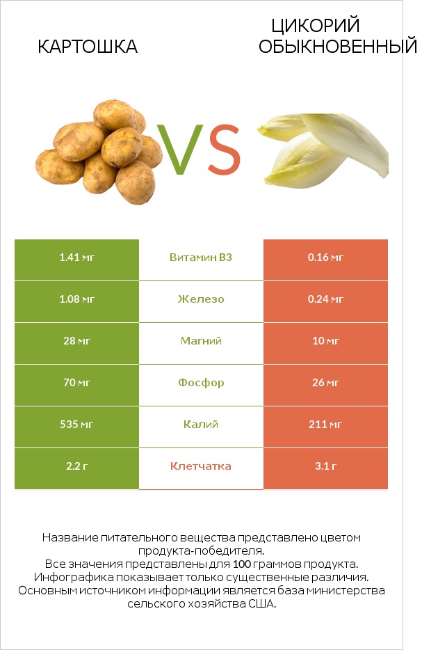 Картошка vs Chicory infographic