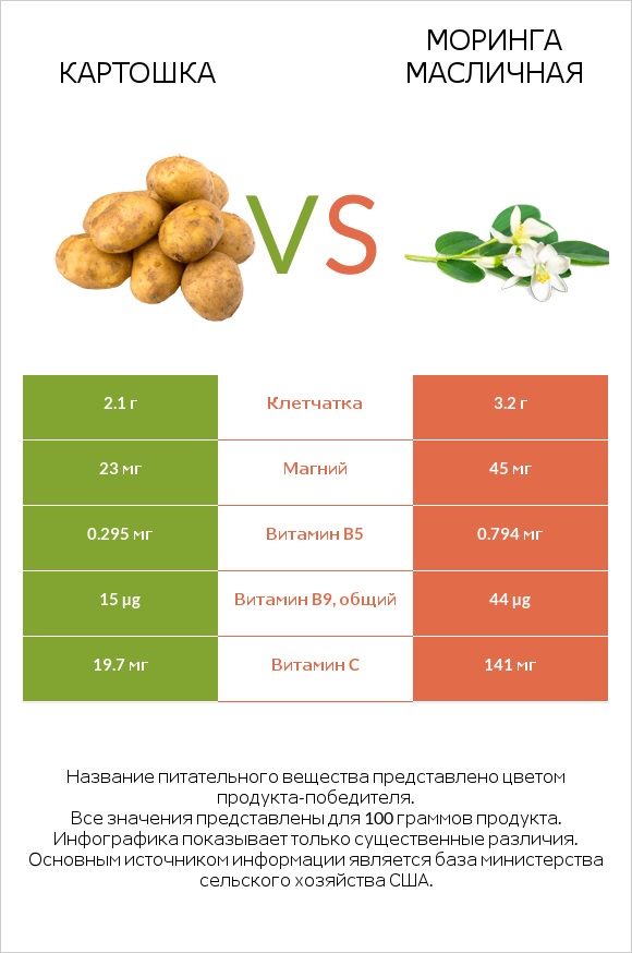Картошка vs Моринга масличная infographic