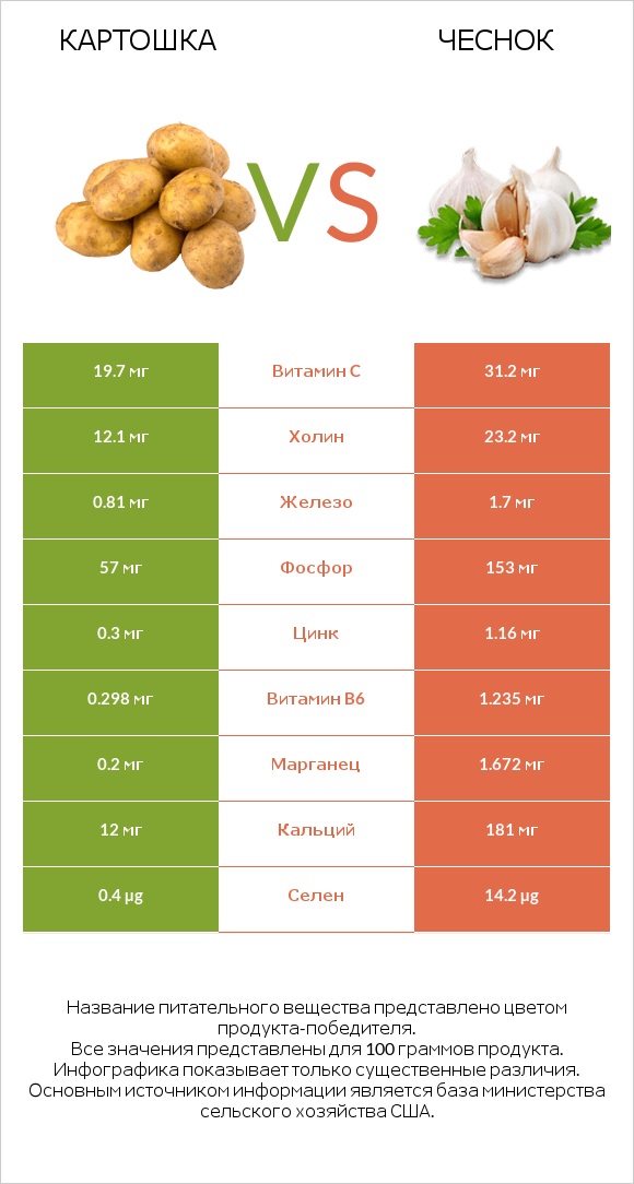 Картошка vs Чеснок infographic
