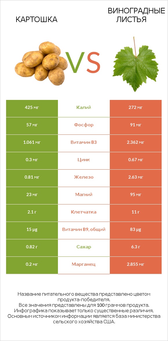 Картошка vs Виноградные листья infographic