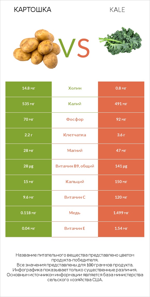 Картошка vs Kale infographic