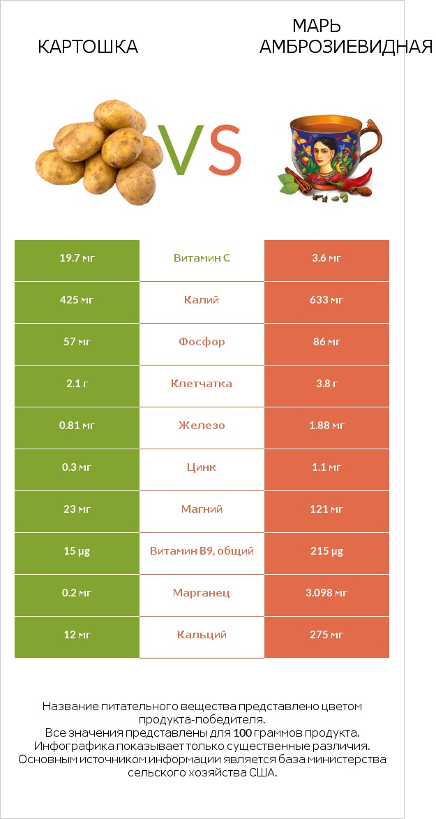 Картошка vs Марь амброзиевидная infographic