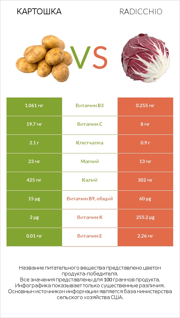 Картошка vs Radicchio infographic
