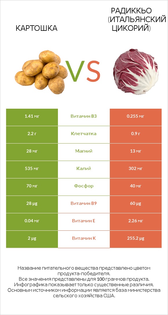 Картошка vs Radicchio infographic