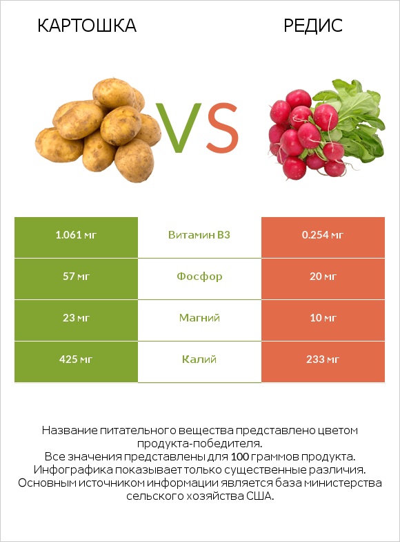Картошка vs Редис infographic