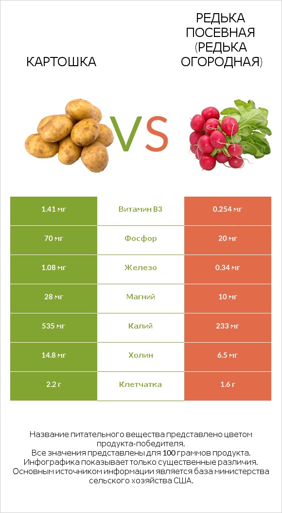 Картошка vs Редис infographic