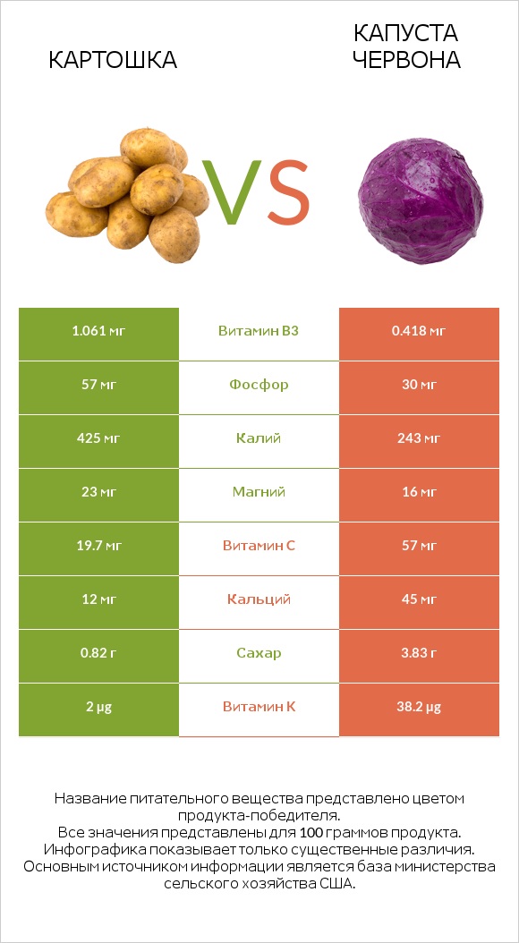 Картошка vs Капуста червона infographic