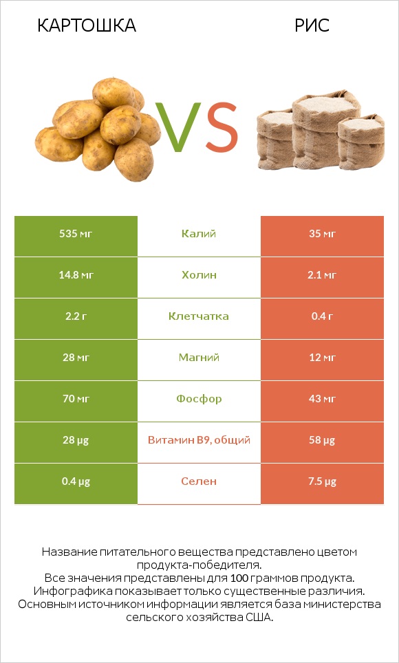 Картошка vs Рис infographic