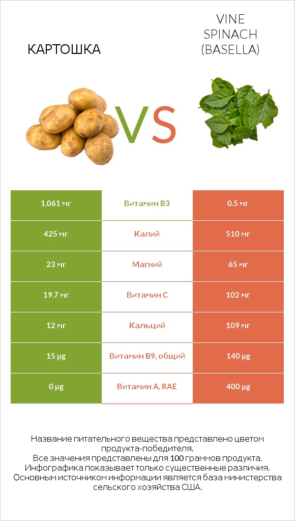 Картошка vs Vine spinach (basella) infographic