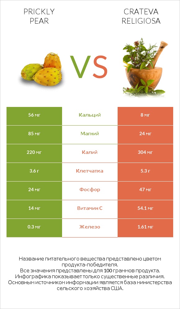 Prickly pear vs Crateva religiosa infographic