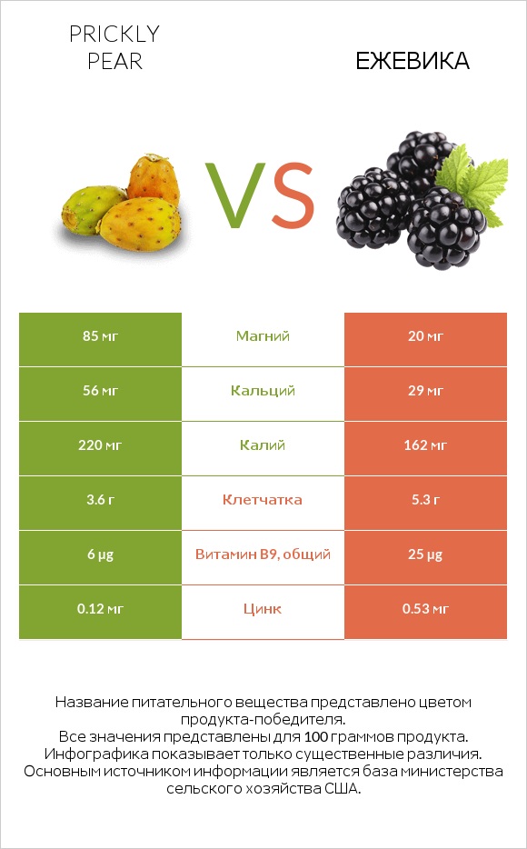 Prickly pear vs Ежевика infographic