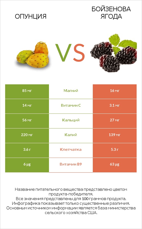 Опунция vs Бойзенова ягода infographic